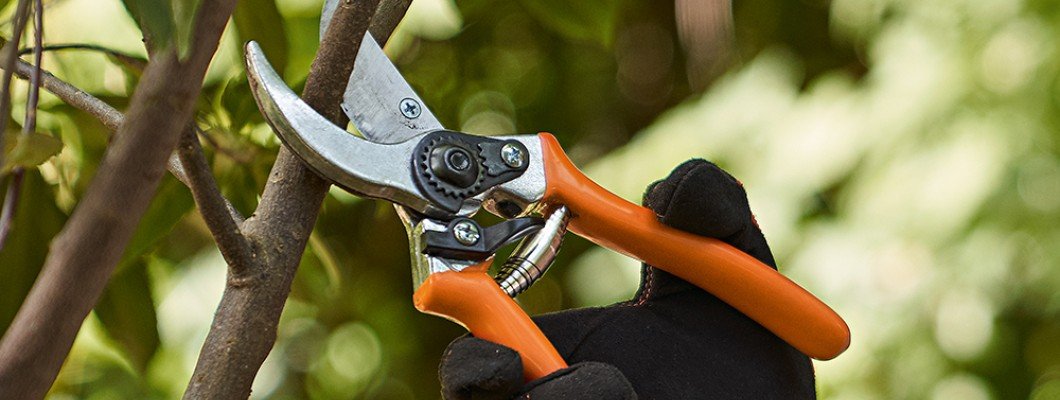 Budama Testereleri ve Budama Makasları | D-Garden Market Rehberi