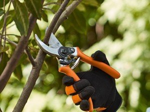 Budama Testereleri ve Budama Makasları | D-Garden Market Rehberi