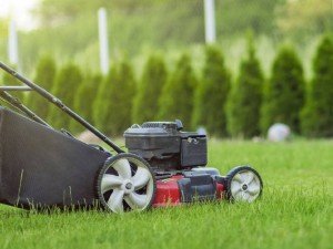 Çim Biçme Makineleri | Datsu, Husqvarna ve Trex Modelleri