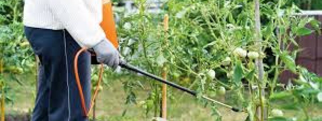 İlaçlama Makineleri ve İlaçlama Pompası Rehberi | Datsu Modelleri | D-Garden Market