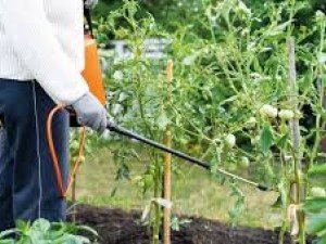 İlaçlama Makineleri ve İlaçlama Pompası Rehberi | Datsu Modelleri | D-Garden Market