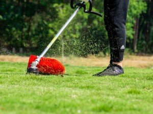 Motorlu Tırpanlar ve Datsu Modelleri | D-Garden Market