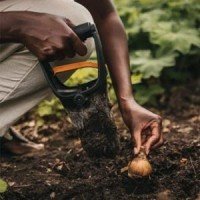 Bitki Dikim Aparatları