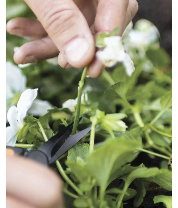 Fiskars - SP-131 İnce Uçlu Bitki ve Hasat Makası