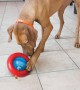 Kong Gyro Köpekler için Ödül Maması Dağıtma Oyuncağı - L