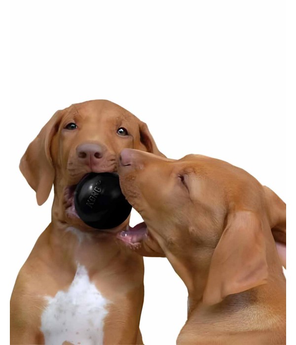 Kong Extreme Köpekler için Top Şeklinde Çok Amaçlı Isırma Oyuncağı - Ultra Sert S