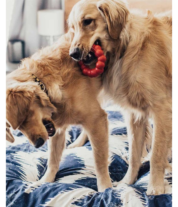 Kong Ring Köpekler için Yüzük Şeklinde Çok Amaçlı Isırma Oyuncağı - M/L