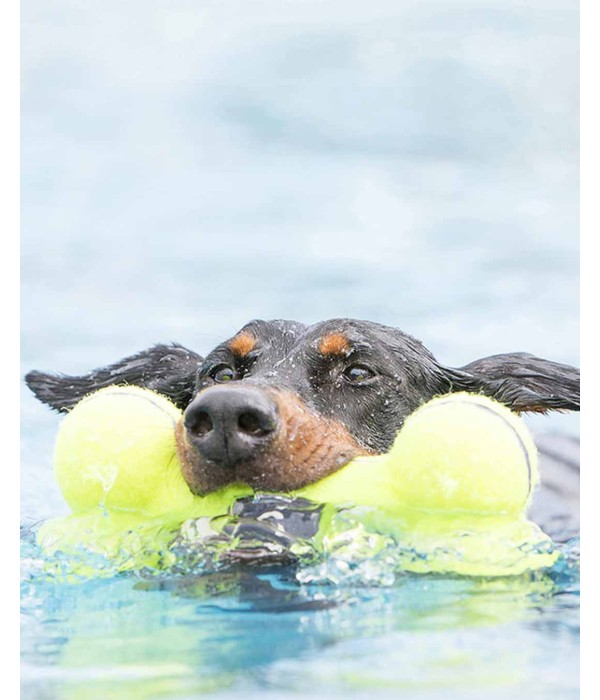 Kong AirDog Kemik Şeklinde Sesli Köpek Oyuncağı - L 