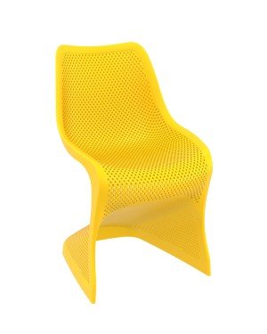 Bloom Code: 048 SARI Bloom Code: 048 SARI