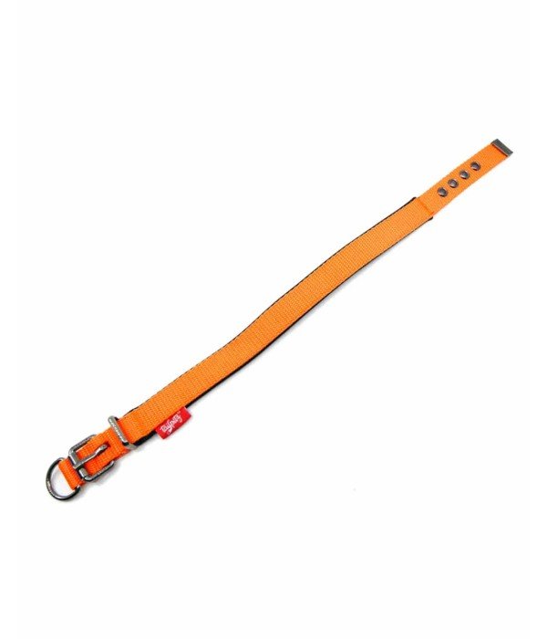 Tailpetz Comfy Köpek Boyun Tasması - Turuncu S Tailpetz Comfy Köpek Boyun Tasması - Turuncu S