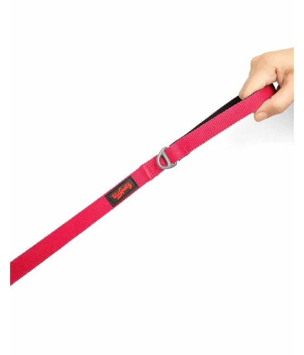 Tailpetz Kedi Köpek Sevk Gezdirme Kayışı - Neon Pembe M