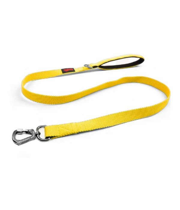 Tailpetz Kedi Köpek Sevk Gezdirme Kayışı - Sarı M