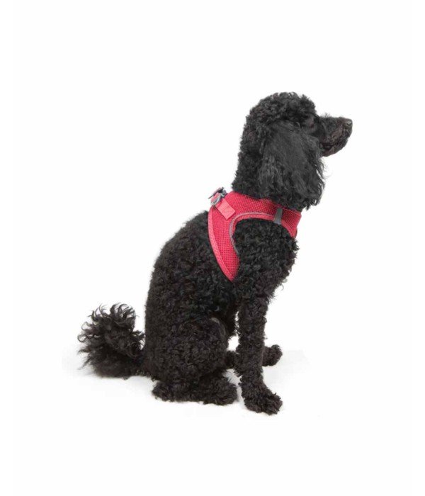 Tailpetz Air-mesh Harness Köpek Göğüs Tasması - Neon Pembe XS