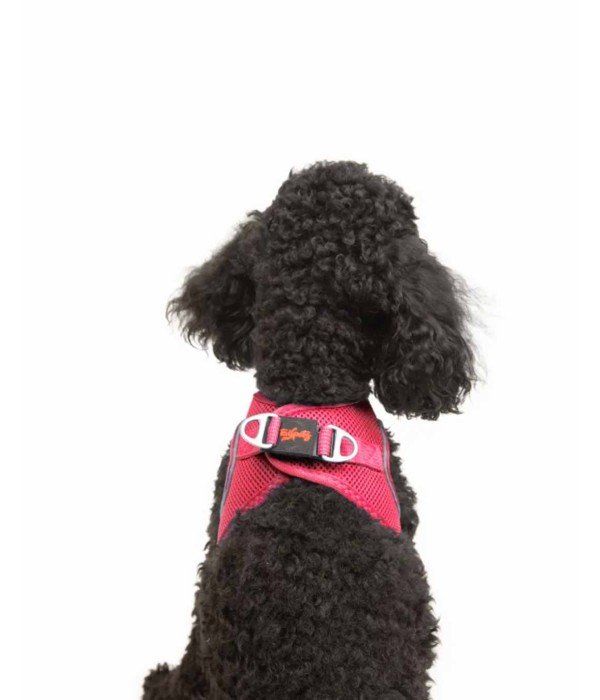 Tailpetz Air-mesh Harness Köpek Göğüs Tasması - Neon Pembe XS