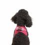 Tailpetz Air-mesh Harness Köpek Göğüs Tasması - Neon Pembe XS