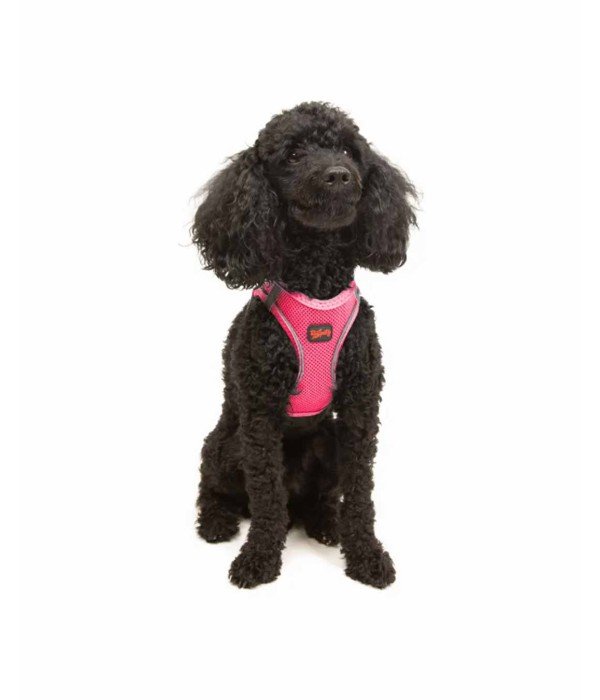 Tailpetz Air-mesh Harness Köpek Göğüs Tasması - Neon Pembe XS