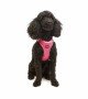 Tailpetz Air-mesh Harness Köpek Göğüs Tasması - Neon Pembe XS