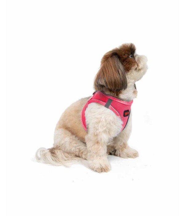 Tailpetz Air-mesh Harness Köpek Göğüs Tasması - Neon Pembe S Tailpetz Air-mesh Harness Köpek Göğüs Tasması - Neon Pembe S