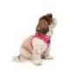 Tailpetz Air-mesh Harness Köpek Göğüs Tasması - Neon Pembe S Tailpetz Air-mesh Harness Köpek Göğüs Tasması - Neon Pembe S