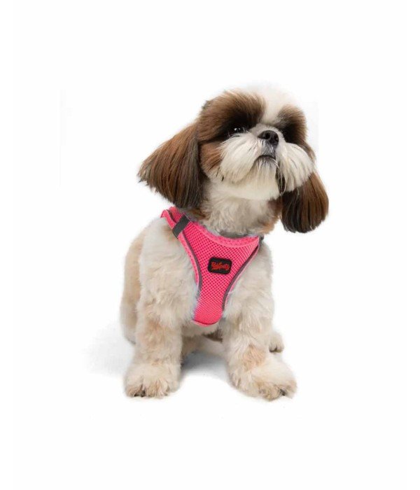 Tailpetz Air-mesh Harness Köpek Göğüs Tasması - Neon Pembe S Tailpetz Air-mesh Harness Köpek Göğüs Tasması - Neon Pembe S