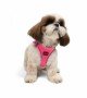 Tailpetz Air-mesh Harness Köpek Göğüs Tasması - Neon Pembe S Tailpetz Air-mesh Harness Köpek Göğüs Tasması - Neon Pembe S
