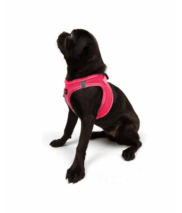 Tailpetz Air-mesh Harness Köpek Göğüs Tasması - Neon Pembe M
