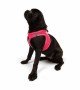 Tailpetz Air-mesh Harness Köpek Göğüs Tasması - Neon Pembe M