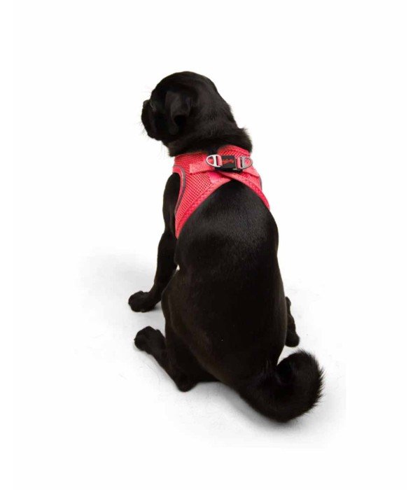 Tailpetz Air-mesh Harness Köpek Göğüs Tasması - Neon Pembe M