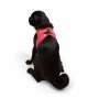 Tailpetz Air-mesh Harness Köpek Göğüs Tasması - Neon Pembe M