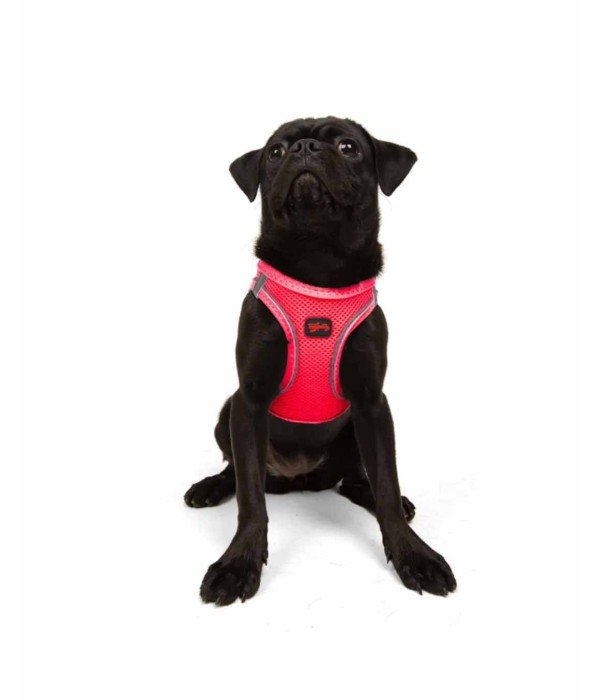 Tailpetz Air-mesh Harness Köpek Göğüs Tasması - Neon Pembe M