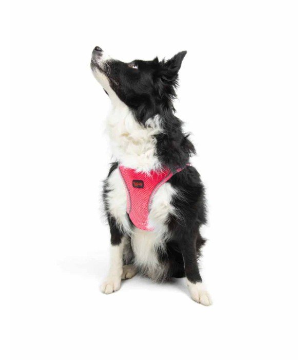 Tailpetz Air-mesh Harness Köpek Göğüs Tasması - Neon Pembe XL