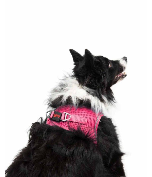 Tailpetz Air-mesh Harness Köpek Göğüs Tasması - Neon Pembe XL Tailpetz Air-mesh Harness Köpek Göğüs Tasması - Neon Pembe XL