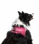 Tailpetz Air-mesh Harness Köpek Göğüs Tasması - Neon Pembe XL Tailpetz Air-mesh Harness Köpek Göğüs Tasması - Neon Pembe XL