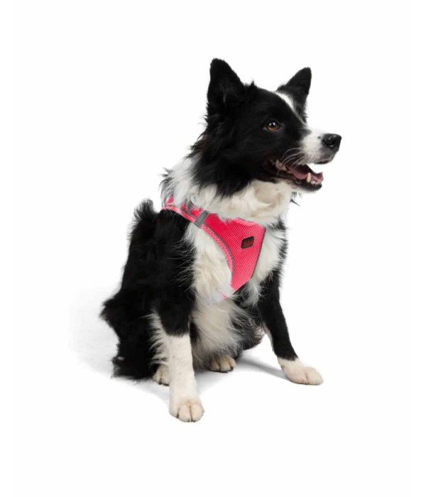 Tailpetz Air-mesh Harness Köpek Göğüs Tasması - Neon Pembe XL Tailpetz Air-mesh Harness Köpek Göğüs Tasması - Neon Pembe XL