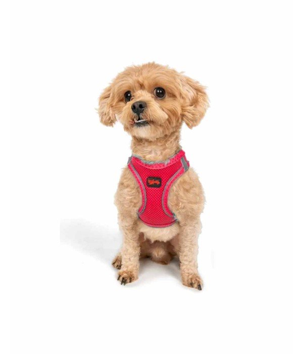 Tailpetz Air-mesh Harness Köpek Göğüs Tasması - Neon Pembe 2XS