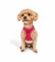 Tailpetz Air-mesh Harness Köpek Göğüs Tasması - Neon Pembe 2XS