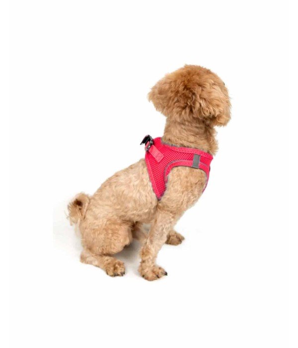 Tailpetz Air-mesh Harness Köpek Göğüs Tasması - Neon Pembe 2XS
