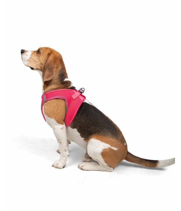 Tailpetz Air-mesh Harness Köpek Göğüs Tasması - Neon Pembe L