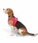 Tailpetz Air-mesh Harness Köpek Göğüs Tasması - Neon Pembe L