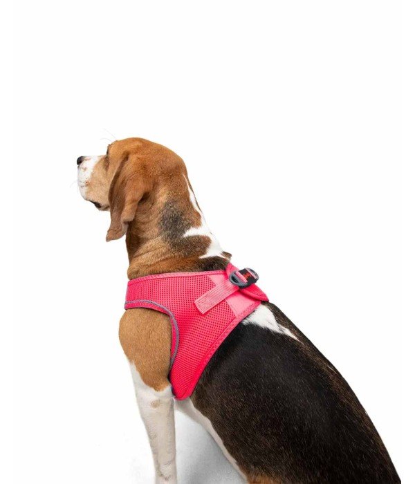 Tailpetz Air-mesh Harness Köpek Göğüs Tasması - Neon Pembe L