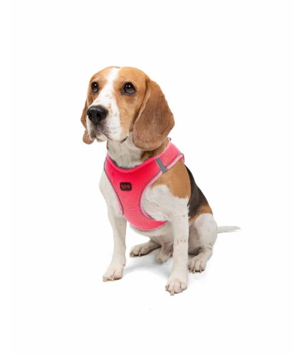 Tailpetz Air-mesh Harness Köpek Göğüs Tasması - Neon Pembe L