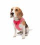 Tailpetz Air-mesh Harness Köpek Göğüs Tasması - Neon Pembe L