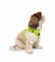 Tailpetz Air-mesh Harness Köpek Göğüs Tasması - Neon Lime S