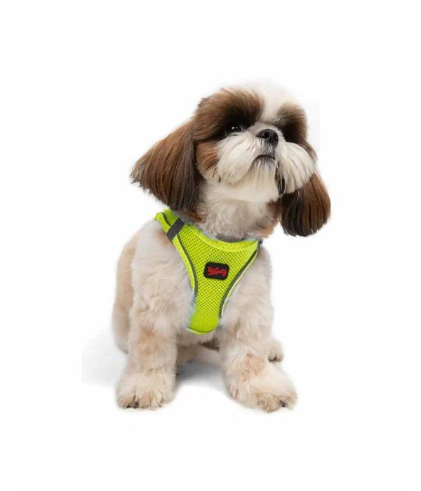 Tailpetz Air-mesh Harness Köpek Göğüs Tasması - Neon Lime S