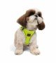 Tailpetz Air-mesh Harness Köpek Göğüs Tasması - Neon Lime S