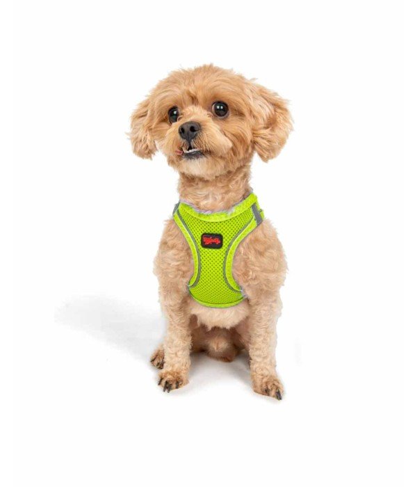 Tailpetz Air-mesh Harness Köpek Göğüs Tasması - Neon Lime 2XS Tailpetz Air-mesh Harness Köpek Göğüs Tasması - Neon Lime 2XS