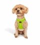 Tailpetz Air-mesh Harness Köpek Göğüs Tasması - Neon Lime 2XS Tailpetz Air-mesh Harness Köpek Göğüs Tasması - Neon Lime 2XS