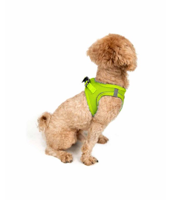 Tailpetz Air-mesh Harness Köpek Göğüs Tasması - Neon Lime 2XS Tailpetz Air-mesh Harness Köpek Göğüs Tasması - Neon Lime 2XS