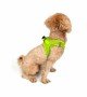 Tailpetz Air-mesh Harness Köpek Göğüs Tasması - Neon Lime 2XS