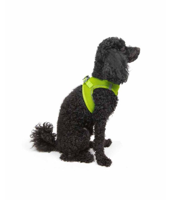 Tailpetz Air-mesh Harness Köpek Göğüs Tasması - Neon Lime XS Tailpetz Air-mesh Harness Köpek Göğüs Tasması - Neon Lime XS
